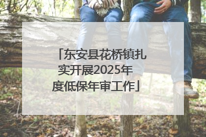 东安县花桥镇扎实开展2025年度低保年审工作
