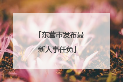 东营市发布最新人事任免