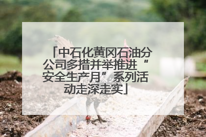 中石化黄冈石油分公司多措并举推进“安全生产月”系列活动走深走实