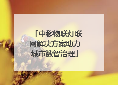 中移物联灯联网解决方案助力城市数智治理
