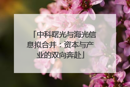 中科曙光与海光信息拟合并：资本与产业的双向奔赴