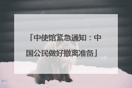 中使馆紧急通知：中国公民做好撤离准备