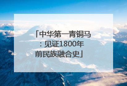 中华第一青铜马：见证1800年前民族融合史