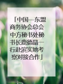 中国—东盟商务协会总会中方秘书处秘书长鹿德晶一行赴滨实地考察对接合作