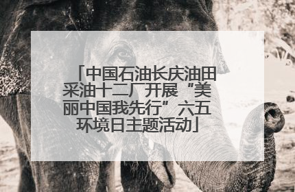 中国石油长庆油田采油十二厂开展“美丽中国我先行”六五环境日主题活动