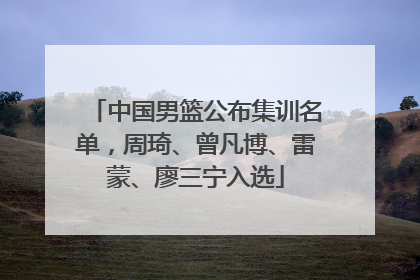 中国男篮公布集训名单，周琦、曾凡博、雷蒙、廖三宁入选