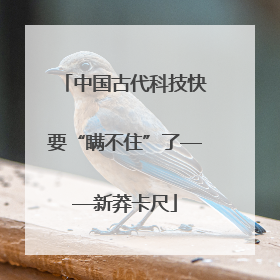 中国古代科技快要“瞒不住”了——新莽卡尺