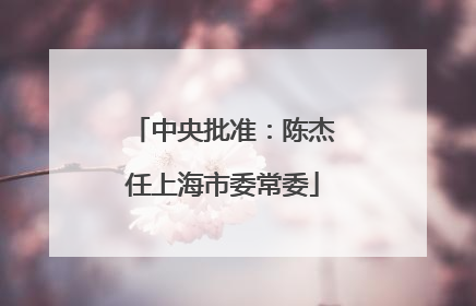 中央批准：陈杰任上海市委常委