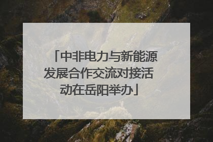 中非电力与新能源发展合作交流对接活动在岳阳举办