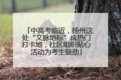 中高考临近，扬州这处“文脉地标”成热门打卡地，社区组织贴心活动为考生鼓劲