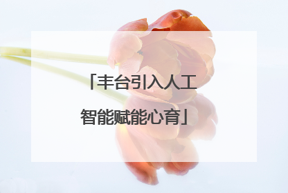 丰台引入人工智能赋能心育