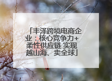 丰泽跨境电商企业：核心竞争力+柔性供应链 实现越山海、卖全球