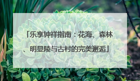 乐享钟祥指南：花海、森林、明显陵与古村的完美邂逅