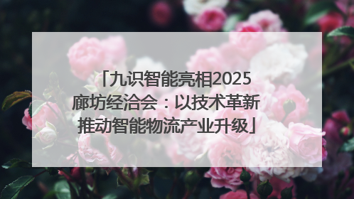 九识智能亮相2025廊坊经洽会：以技术革新推动智能物流产业升级