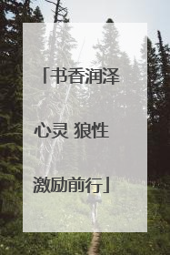 书香润泽心灵 狼性激励前行