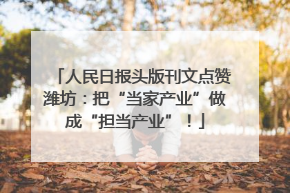 人民日报头版刊文点赞潍坊：把“当家产业”做成“担当产业”！