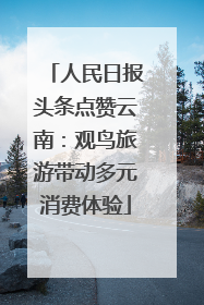 人民日报头条点赞云南：观鸟旅游带动多元消费体验