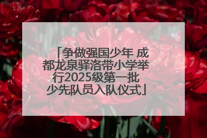 争做强国少年 成都龙泉驿洛带小学举行2025级第一批少先队员入队仪式