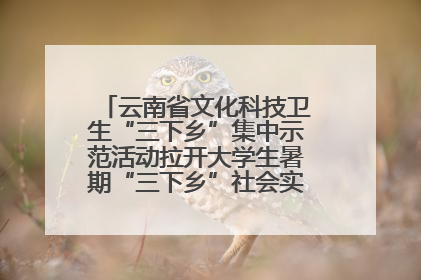云南省文化科技卫生“三下乡”集中示范活动拉开大学生暑期“三下乡”社会实践活动序幕
