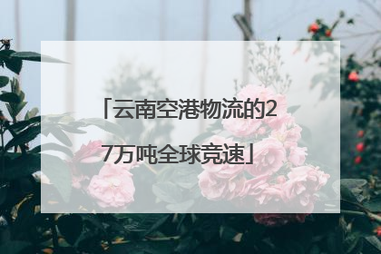 云南空港物流的27万吨全球竞速