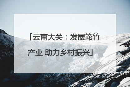 云南大关：发展筇竹产业 助力乡村振兴