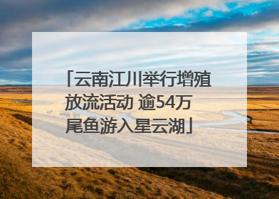 云南江川举行增殖放流活动 逾54万尾鱼游入星云湖
