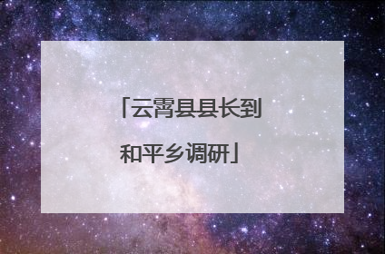 云霄县县长到和平乡调研