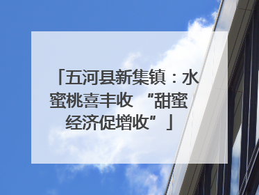 五河县新集镇：水蜜桃喜丰收 “甜蜜经济促增收”