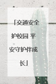 交通安全护校园 平安守护伴成长