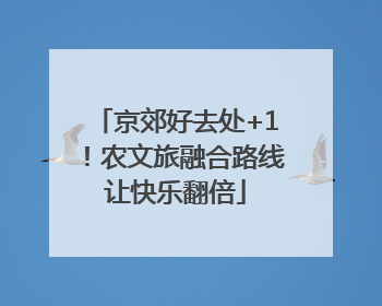 京郊好去处+1！农文旅融合路线让快乐翻倍