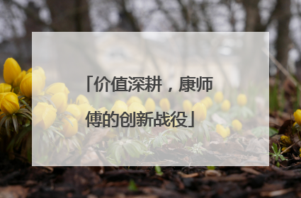 价值深耕，康师傅的创新战役