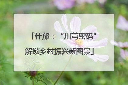 什邡：“川芎密码”解锁乡村振兴新图景
