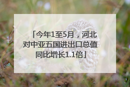今年1至5月，河北对中亚五国进出口总值同比增长1.1倍