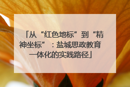 从“红色地标”到“精神坐标”：盐城思政教育一体化的实践路径