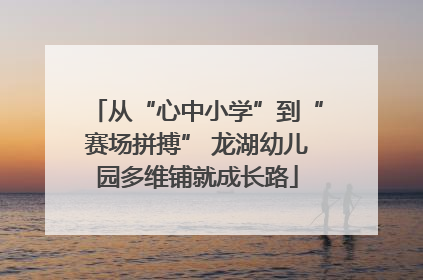 从“心中小学”到“赛场拼搏” 龙湖幼儿园多维铺就成长路