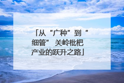 从“广种”到“细管” 关岭枇杷产业的跃升之路