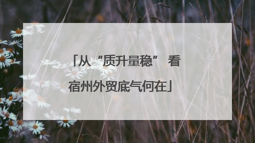 从“质升量稳” 看宿州外贸底气何在