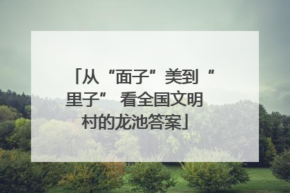从“面子”美到“里子” 看全国文明村的龙池答案