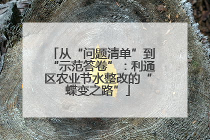 从“问题清单”到“示范答卷”：利通区农业节水整改的“蝶变之路”