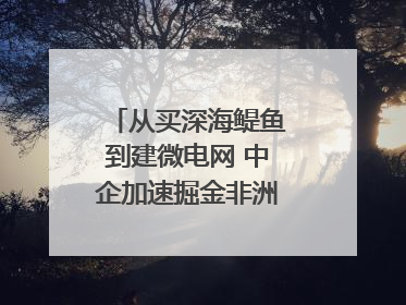 从买深海鳀鱼到建微电网 中企加速掘金非洲现代化｜直击中非经贸博览会