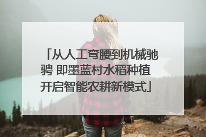 从人工弯腰到机械驰骋 即墨蓝村水稻种植开启智能农耕新模式