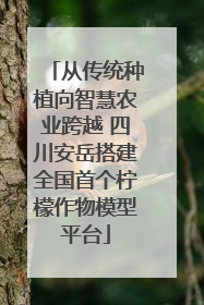 从传统种植向智慧农业跨越 四川安岳搭建全国首个柠檬作物模型平台