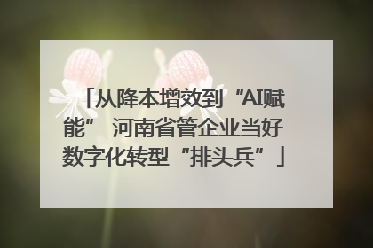 从降本增效到“AI赋能” 河南省管企业当好数字化转型“排头兵”
