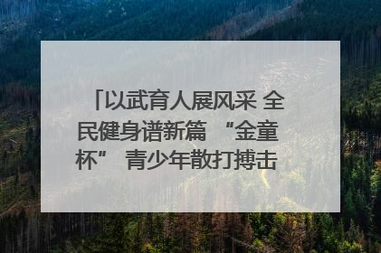 以武育人展风采 全民健身谱新篇 “金童杯” 青少年散打搏击邀请赛圆满落幕