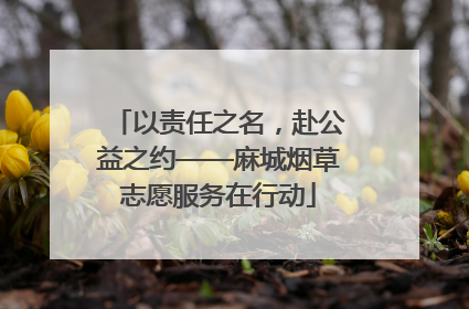 以责任之名，赴公益之约——麻城烟草志愿服务在行动