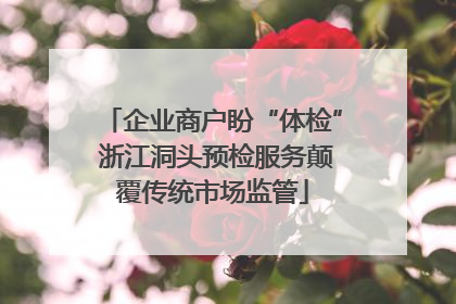 企业商户盼“体检” 浙江洞头预检服务颠覆传统市场监管