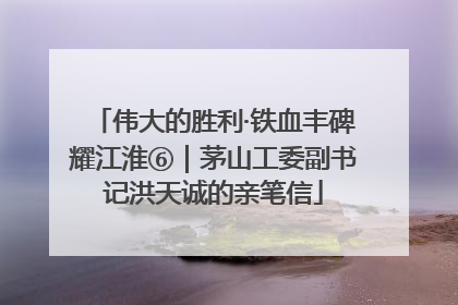 伟大的胜利·铁血丰碑耀江淮⑥｜茅山工委副书记洪天诚的亲笔信