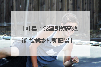 叶县：党建引领高效能 绘就乡村新图景