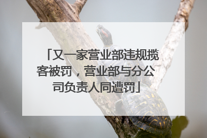 又一家营业部违规揽客被罚，营业部与分公司负责人同遭罚