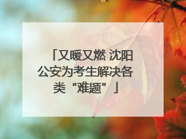 又暖又燃 沈阳公安为考生解决各类“难题”